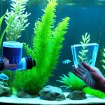 aquarium außenfilter richtig anbringen