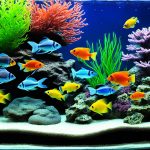 aquarium filter media