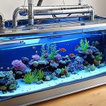 durchlaufkühler aquarium selber machen