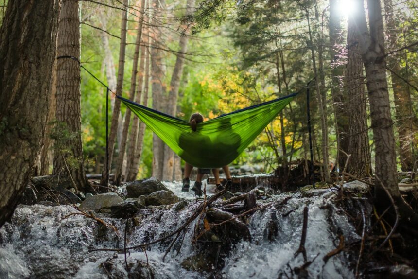 Mehr Bezug zur Natur dank Waldbaden