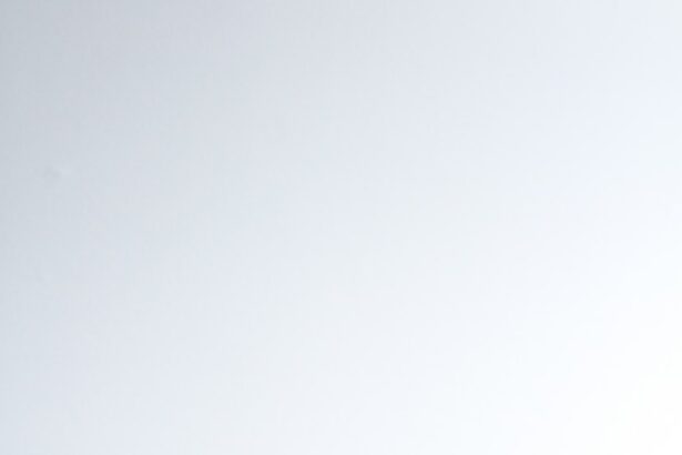 Zimmerbambus richtig pflegen