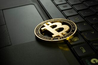 Bitcoin als anerkannte und entwickelte Währung