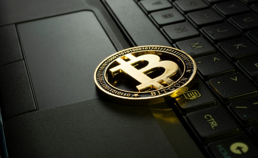 Bitcoin als anerkannte und entwickelte Währung
