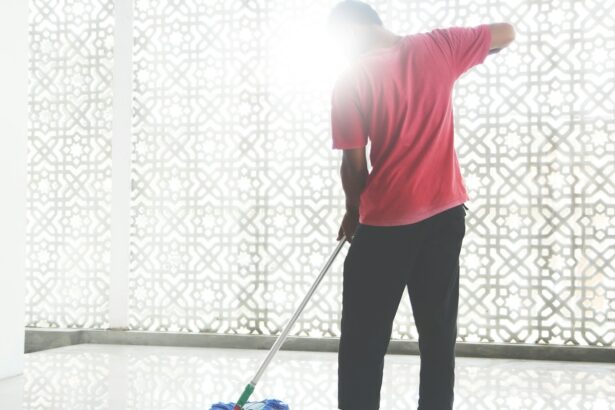 Professionelle Reinigungsdienstleistungen