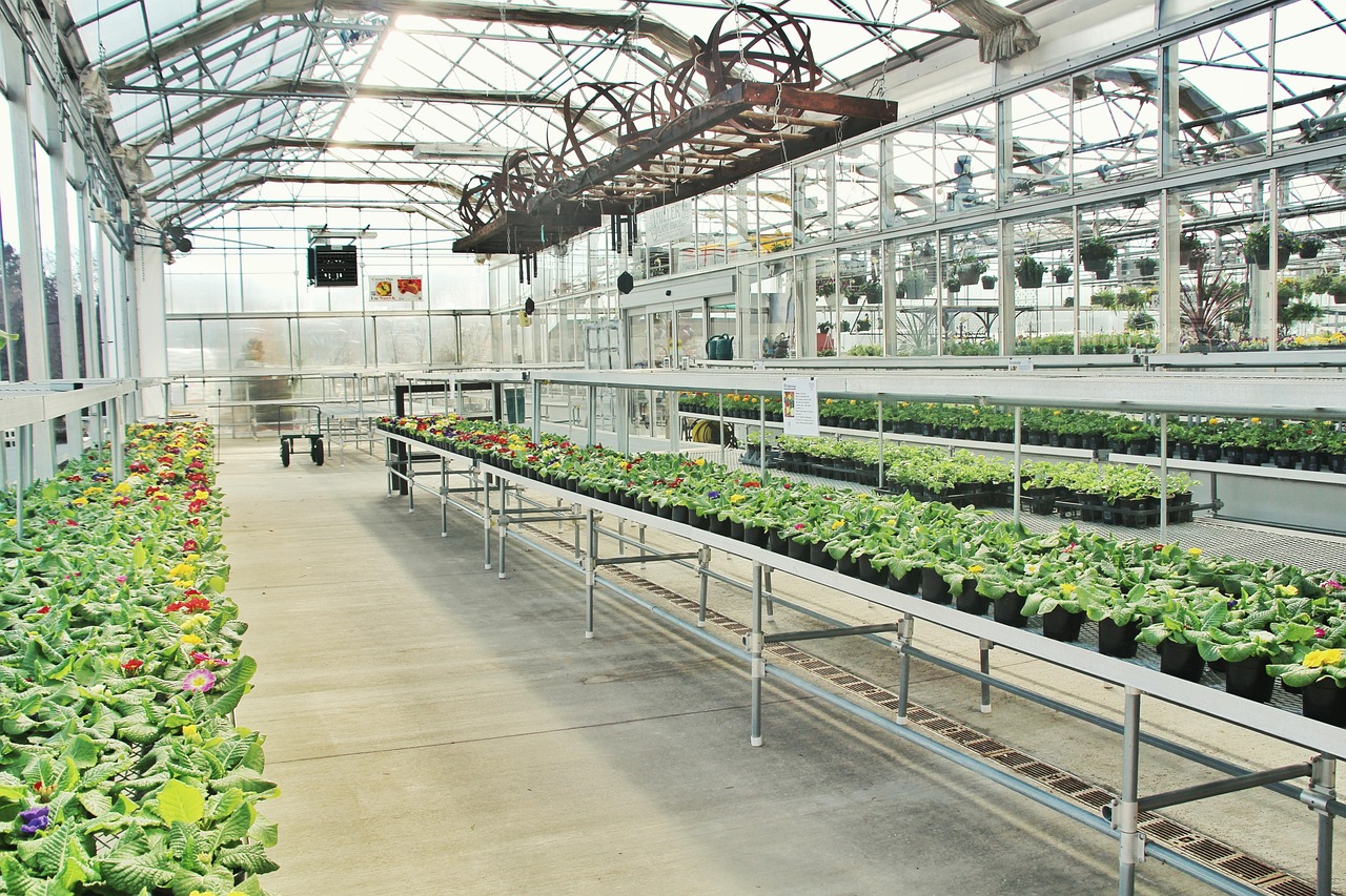 Anbau-Wintergarten