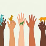 5 Wege, wie Sie Tierschutzorganisationen helfen können