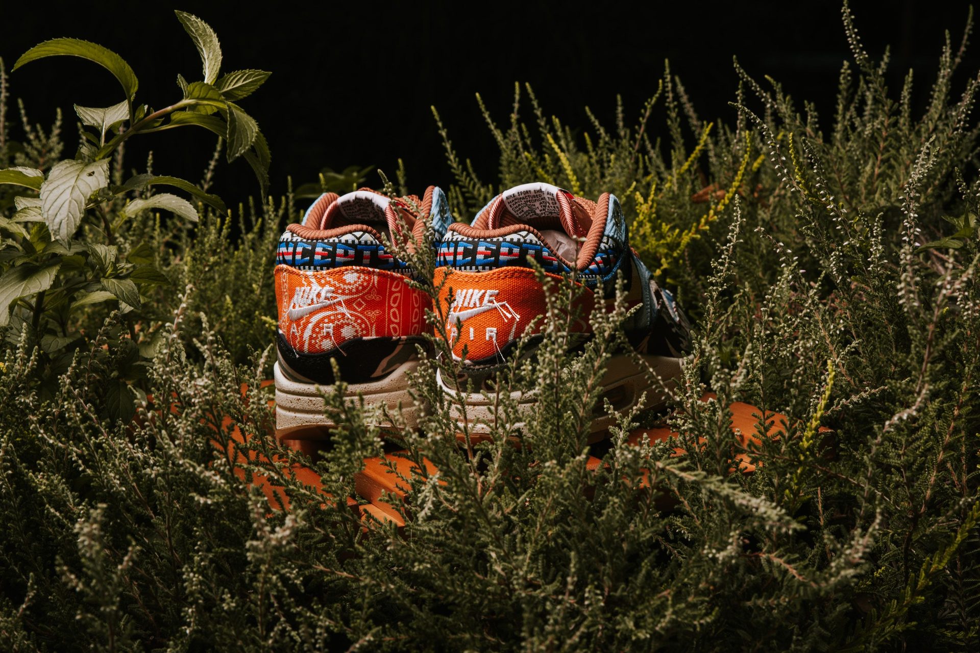 Nike Air Max Sneaker einer Kollaboration mit dem Boutique-Label Concepts, orangefarbenes Paisley-Muster, fotografiert im Gebüsch