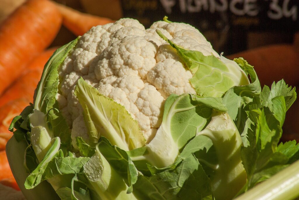 Blumenkohl kochen und zubereiten im Thermomix: Wie gelingt er im Varoma?