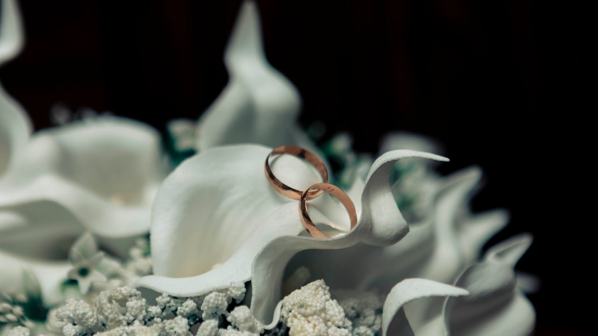 Zwei goldene Eheringe auf weißen Calla-Blüten