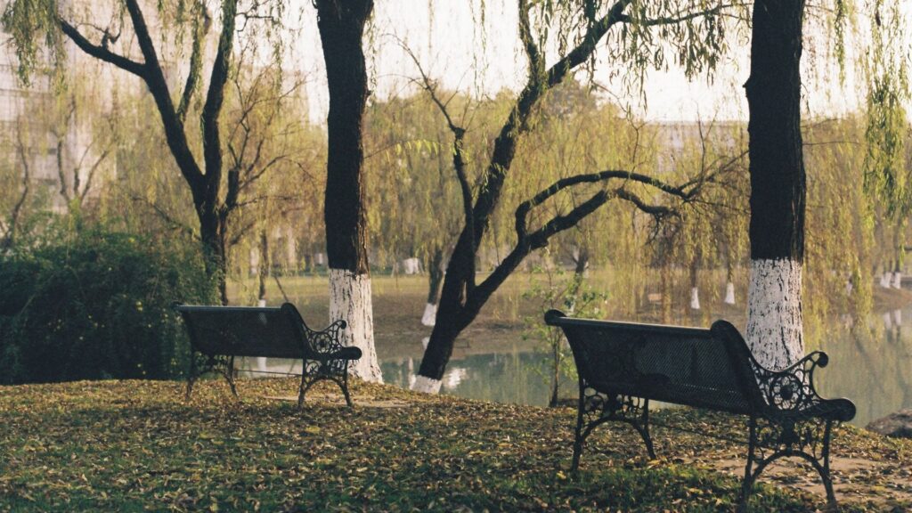Trennung trotz Liebe: Wenn ihr euch noch liebt, aber die Beziehung nicht mehr trägt